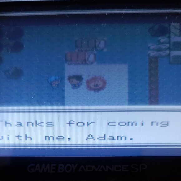 Pokemon Prism GBC ROM Hack Video Game - Picture 8 of 10